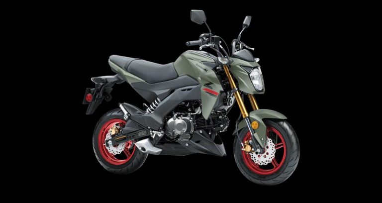 2023 Kawasaki Z125 Pro [Top Speed, Specs, Price, Mileage]