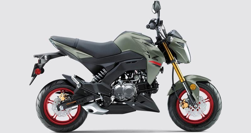 2023 Kawasaki Z125 Pro [Top Speed, Specs, Price, Mileage]